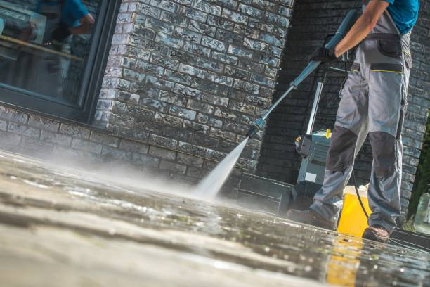 Best Gutter Cleaning  in Severance, CO