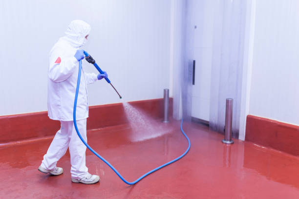 Best Gas Station Cleaning  in Severance, CO